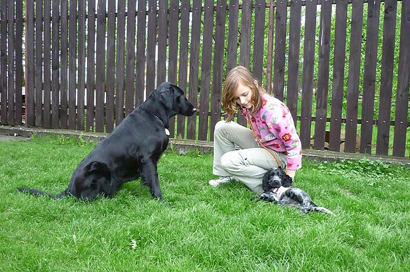 4-v novem domove 1.5.2010.jpg